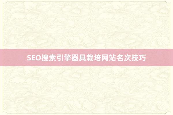 SEO搜索引擎器具栽培网站名次技巧