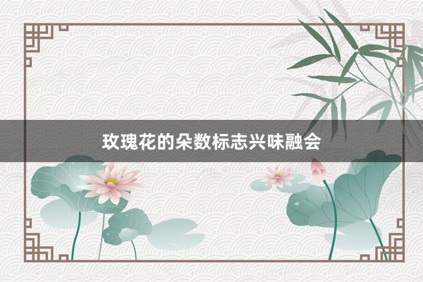 玫瑰花的朵数标志兴味融会
