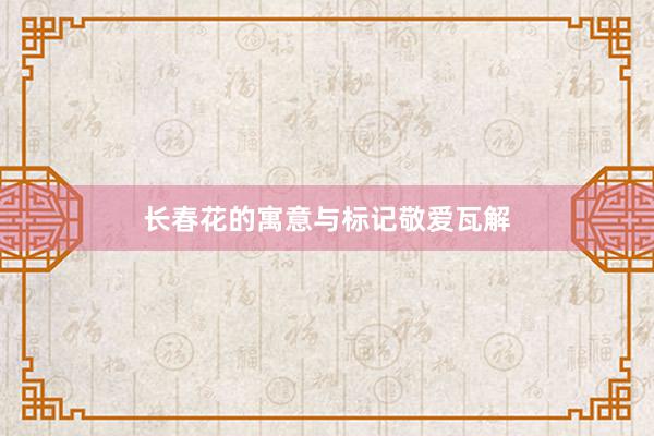 长春花的寓意与标记敬爱瓦解