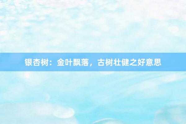 银杏树：金叶飘落，古树壮健之好意思