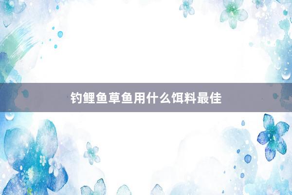 钓鲤鱼草鱼用什么饵料最佳
